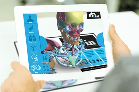 Explore the Brain in Augmented Reality!