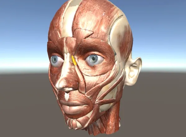 What is AR, XR, MR and VR? Stripping back the World of Digital Reality and the Metaverse. Augmented, Mixed, Virtual and eXtended defined.